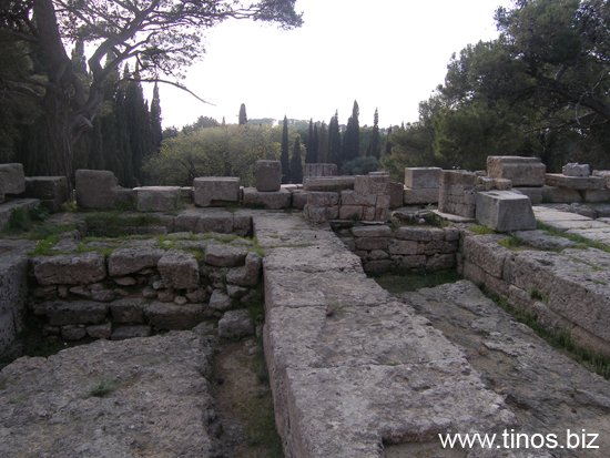 rodos 292
